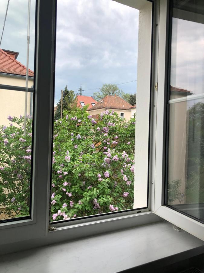 Wohlfuehloase Nickern Apartment Dresden