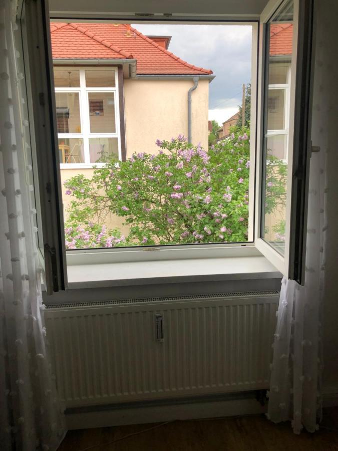 Wohlfuehloase Nickern Dresden